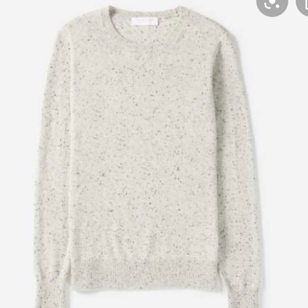 Everlane Cashmere Crew